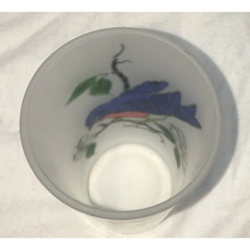 Hazel Atlas Frosted Drinking 5 Glasses Bluebird, 2 Goldfinch's,Cardinal,Oriole